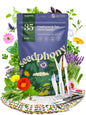 35 Medicinal & Tea Herb Seeds Variety Pack - 16,285+ Non-GMO Heirloom Herbs Seeds for Planting Indoor & Outdoor: Lavender, Rosemary, Echinacea, Mint, Catnip, Basil - Gardening Seed Packets