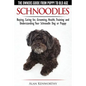 Schnoodles - The Owners Guide from Puppy to Old Age - Choosing, Caring for, Grooming, Health, Training and Understanding Your Schnoodle Dog - Paperback