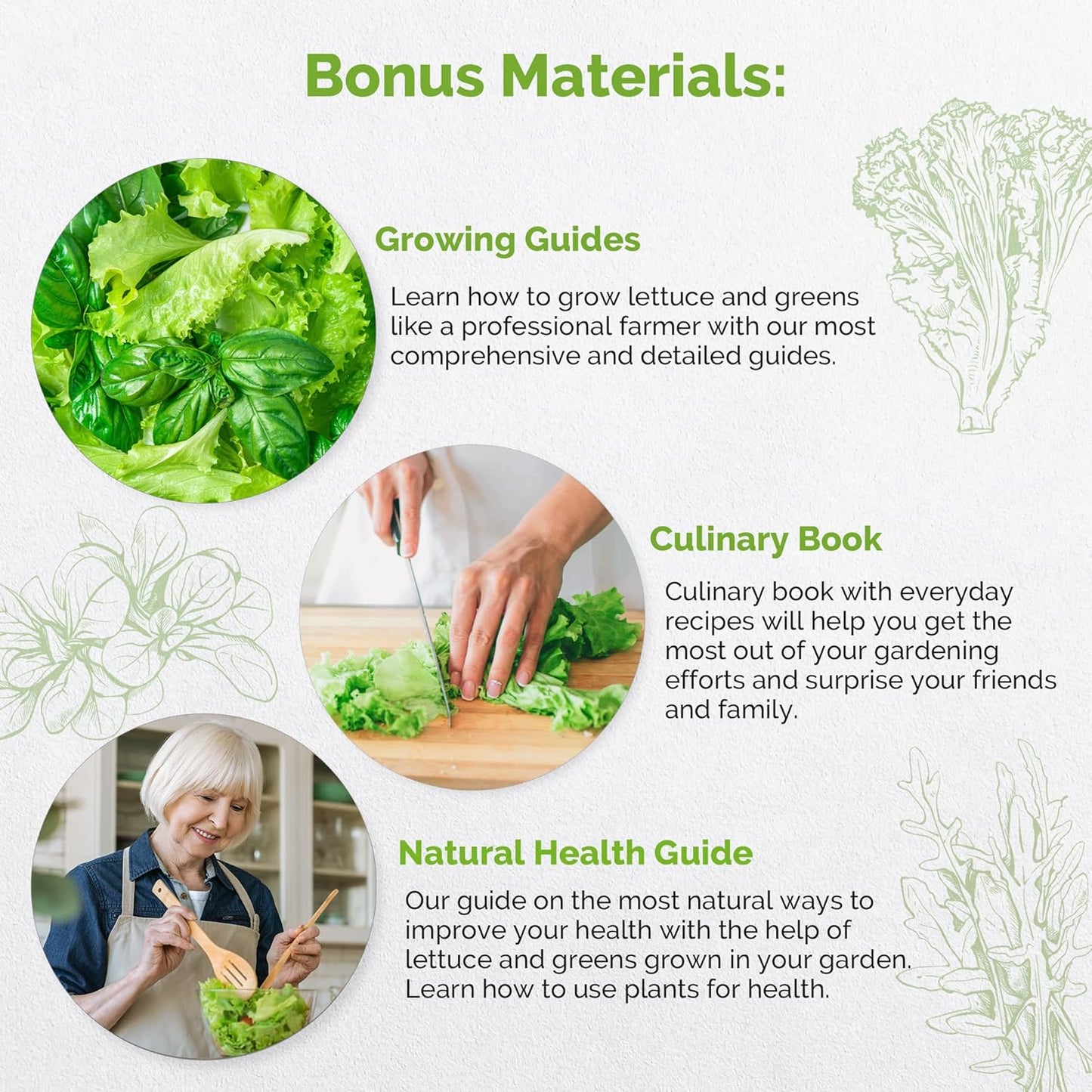 Organo Republic 10 Lettuce & Salad Greens Seeds Variety Pack 4800+ Non-GMO Heirloom Lettuce Seeds for Planting Indoors & Outdoors Garden, Hydroponics - Arugula, Radicchio, Kale, Spinach, Swiss Chard