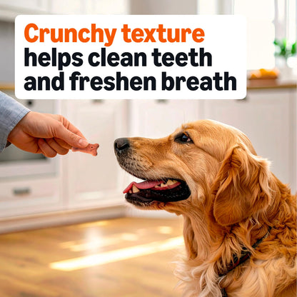 Amazon Basics Crunchy Dog Biscuits Multi Flavor 5 lb Box