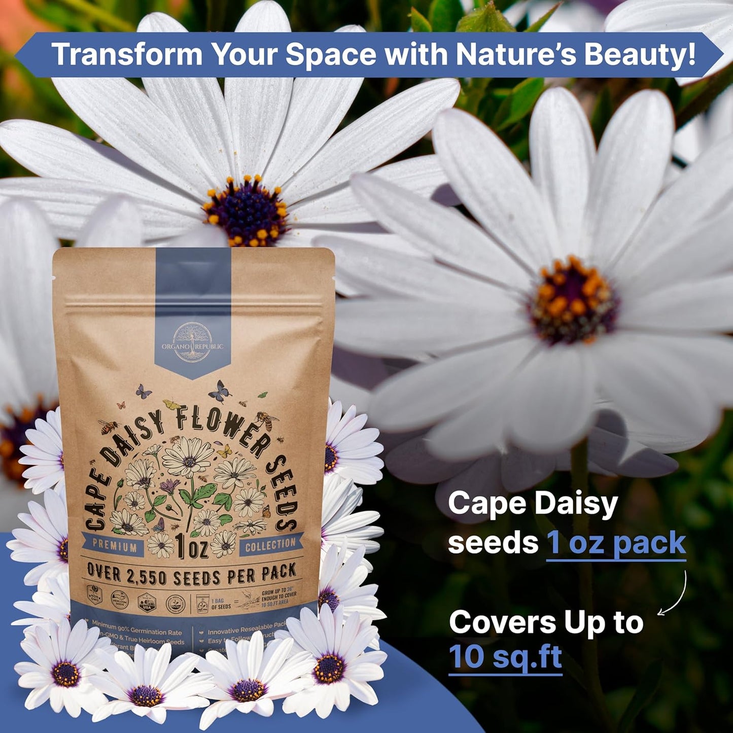 Marigold Seeds Pack 1 oz - Over 9,250 Non-GMO Heirloom Marigold Seeds for Planting Indoor & Outdoor Gardening, Flower Seed for Planting Home and Garden, Flowers Seed in Individual Packet