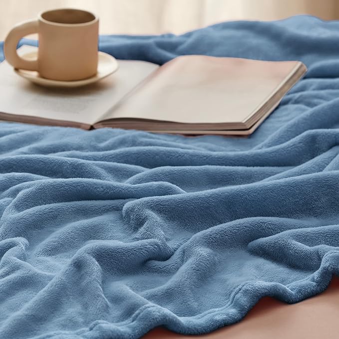 Bedsure Fleece Blanket Twin Size Washed Blue - 300GSM Lightweight Plush Fuzzy Cozy Soft Warm Blanket for Bed, Sofa, Couch, Travel, Camping, 60x80 inches