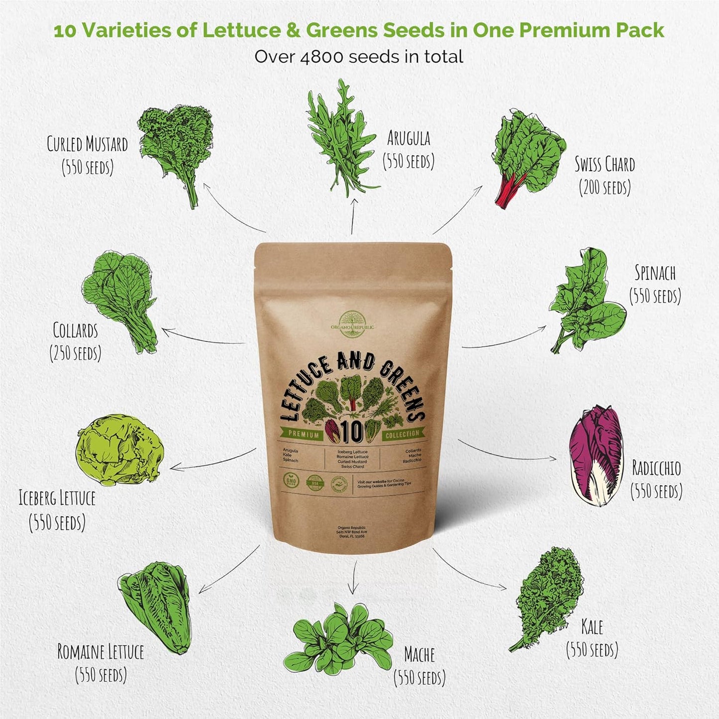 Organo Republic 10 Lettuce & Salad Greens Seeds Variety Pack 4800+ Non-GMO Heirloom Lettuce Seeds for Planting Indoors & Outdoors Garden, Hydroponics - Arugula, Radicchio, Kale, Spinach, Swiss Chard
