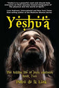 Yeshu'a: The story of the hidden life of Jesus: Book Two - Paperback