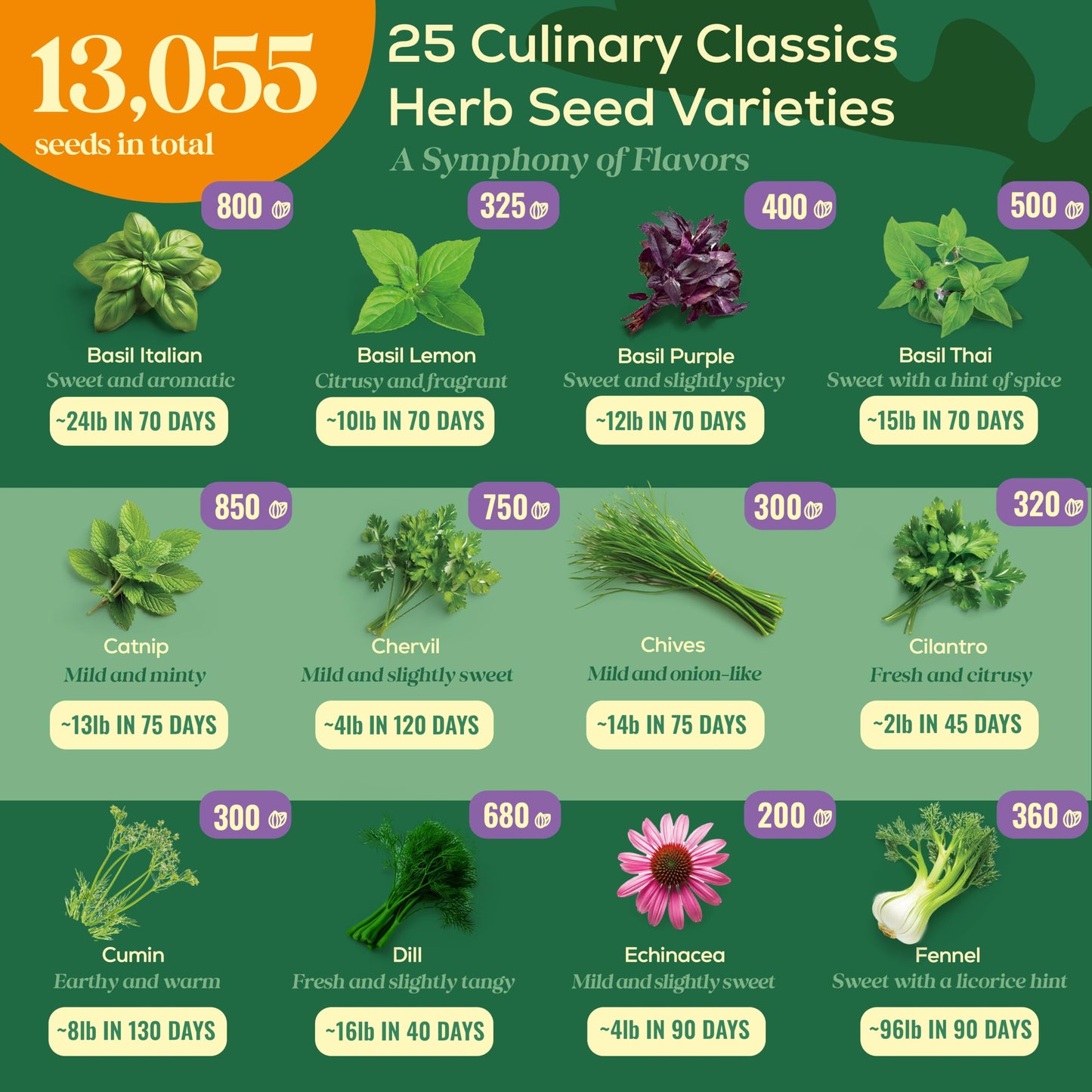 35 Medicinal & Tea Herb Seeds Variety Pack - 16,285+ Non-GMO Heirloom Herbs Seeds for Planting Indoor & Outdoor: Lavender, Rosemary, Echinacea, Mint, Catnip, Basil - Gardening Seed Packets