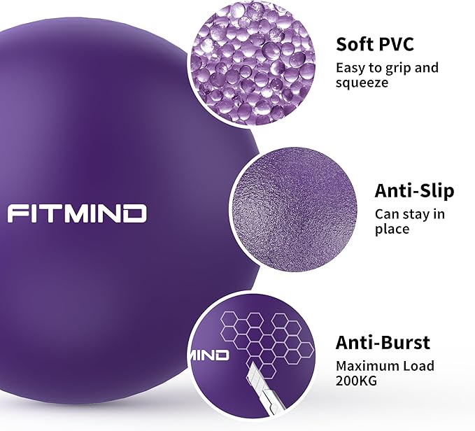 Pilates Ball - 10 Inch Core Ball for Yoga, Stability, Fitness, Ab & Core Workout, Physical Therapy