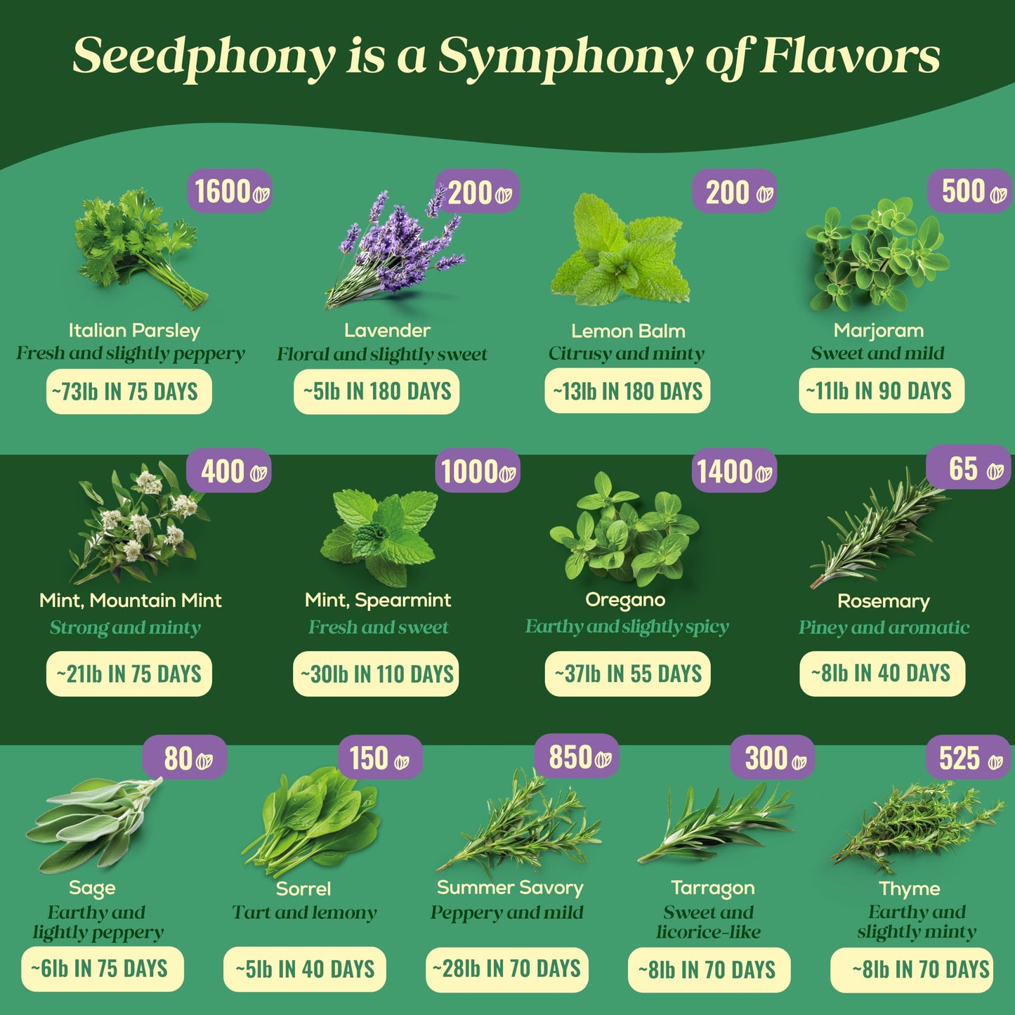 35 Medicinal & Tea Herb Seeds Variety Pack - 16,285+ Non-GMO Heirloom Herbs Seeds for Planting Indoor & Outdoor: Lavender, Rosemary, Echinacea, Mint, Catnip, Basil - Gardening Seed Packets