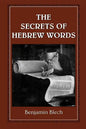 The Secrets of Hebrew Words - Paperback