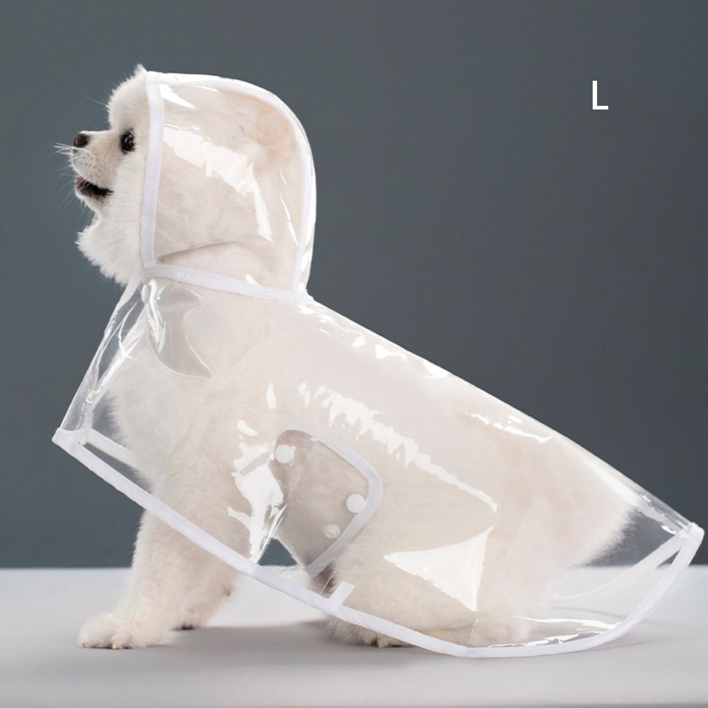 Pet raincoat-White-L-1 piece
