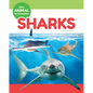 Sharks - Library Binding