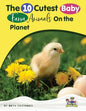 Baby Farm Animals Booklet With Activities for Kids ages 4-8 - Paperback
