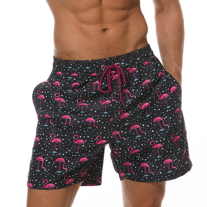 Printed Mens Fashionable Sports Beach Shorts
