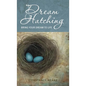 Dream Hatching: Bring Your Dream to Life - Hardcover