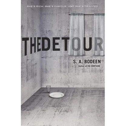 The Detour - Paperback