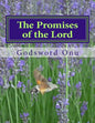The Promises of the Lord: God Can Never Fail Nor Disappoint Anybody - Paperback