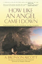 How Like an Angel Came I Down - Paperback