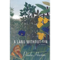 Land Without Sin - Paperback