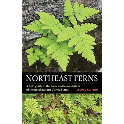 Northeast Ferns: A Field Guide to the Ferns and Fern Relatives of the Northeastern United States - Paperback