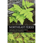 Northeast Ferns: A Field Guide to the Ferns and Fern Relatives of the Northeastern United States - Paperback