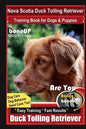 Nova Scotia Duck Tolling Retriever Training Book for Dogs & Puppies By BoneUP DOG Training, Dog Care, Dog Behavior, Hand Cues Too! Are You Ready to Bo - Paperback