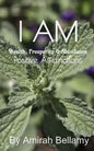 I Am Wealth, Prosperity & Abundance Positive Affirmations - Paperback