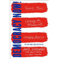 Democracy Now!: Twenty Years Covering the Movements Changing America - Paperback