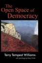 The Open Space of Democracy - Paperback
