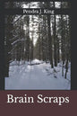 Brain Scraps - Paperback
