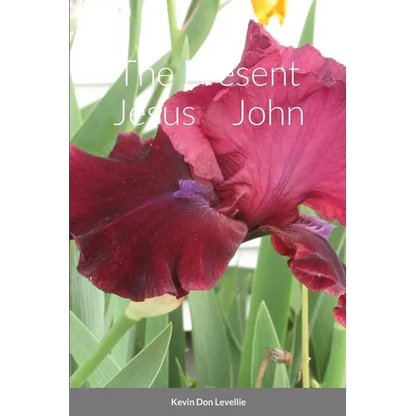 The Present Jesus John - Paperback