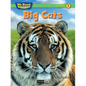 Big Cats - Paperback
