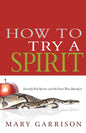 How to Try a Spirit: Identify Evil Spirits and the Fruit They Manifest - Paperback