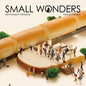 Small Wonders - Life Portrait in Miniature - Hardcover
