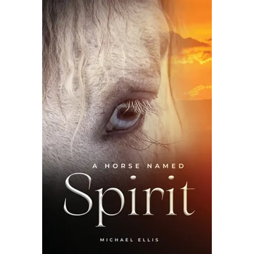 A Horse Named Spirit - Paperback