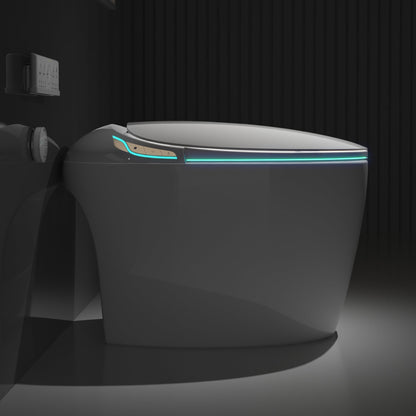 Unique Smart Toilet with Bidet Built In, Intelligent One Piece Toilet For Mod...