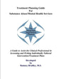 Treatment Planning Guide For Substance Abuse/Mental Health Services - Paperback