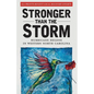 Stronger Than The Storm: Hurricane Helene in Western North Carolina - Paperback