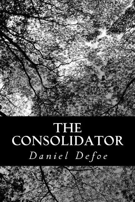 The Consolidator - Paperback