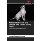 Rehabilitation in the Canine and Feline Daily Clinic - Paperback