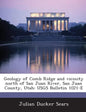 Geology of Comb Ridge and Vicinity North of San Juan River, San Juan County, Utah: Usgs Bulletin 1021-E - Paperback