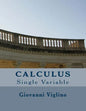 Calculus: Single Variable - Paperback