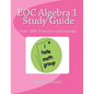 EOC Algebra 1 Study Guide: A study guide for students learning algebra 1 - Paperback
