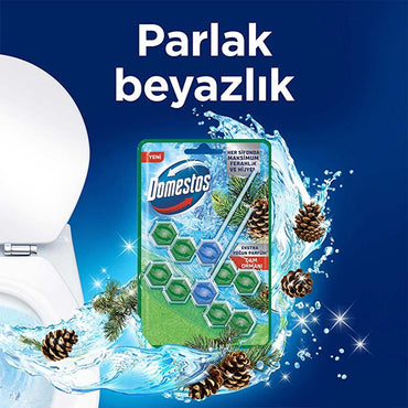 Domestos Toilet Block Pine Forest 100g - Maximum Freshness and Hygiene