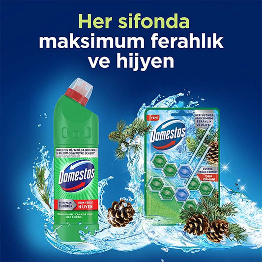 Domestos Toilet Block Pine Forest 100g - Maximum Freshness and Hygiene