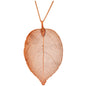 Lustrous Leaf Jewelry