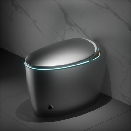 Smart Toilet One-Piece Gray Bidet Auto Lid Heated Seat Night Light 1.28 GPF