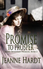 Promise to Prosper - Paperback