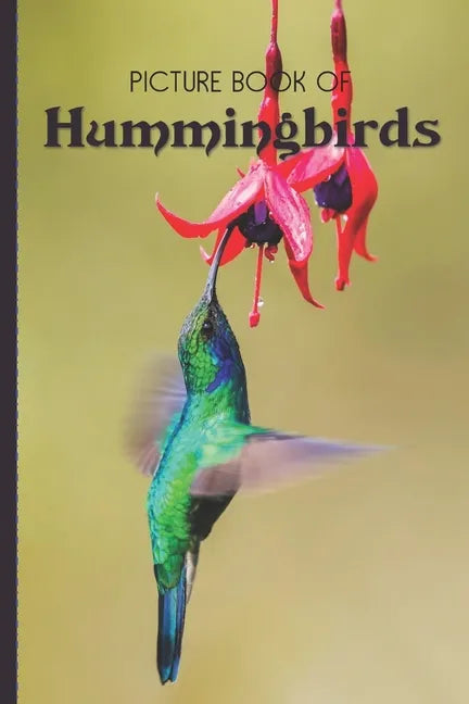 Picture Book Of Hummingbirds: Large Print Book For Seniors with Dementia or Alzheimer's - Paperback