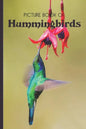 Picture Book Of Hummingbirds: Large Print Book For Seniors with Dementia or Alzheimer's - Paperback