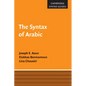The Syntax of Arabic - Paperback