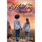 Let the Healing Begin: When the Law Fails and Love Prevails - Paperback